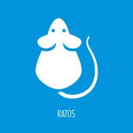 rato-v2-600x600-1-1.jpg