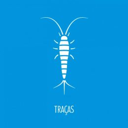 traca-600x600-1-1.jpg